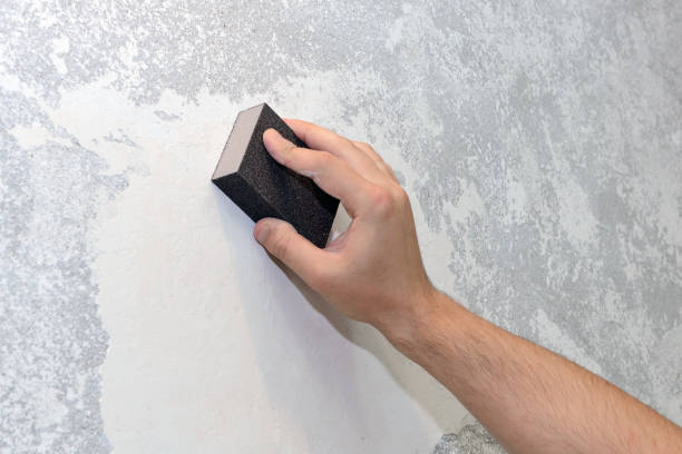 Best Mold Remediation for Vacation Homes  in Ammon, ID