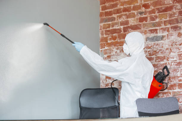 Mold Remediation for Vacation Homes in Ammon, ID