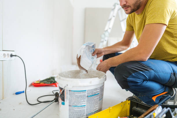 Best Basement Mold Removal  in Ammon, ID