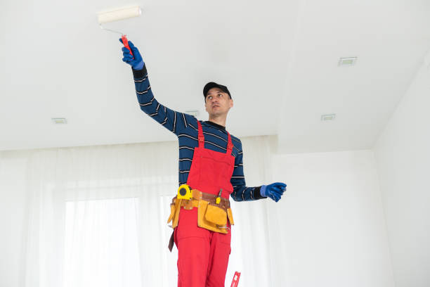 Best Black Mold Removal  in Ammon, ID